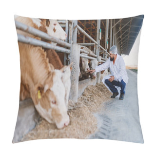 Personality  Veterinarian Checking Cows At Cow Farm. Pillow Covers