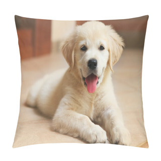 Personality  Golden Labrador Retriever Puppy Pillow Covers