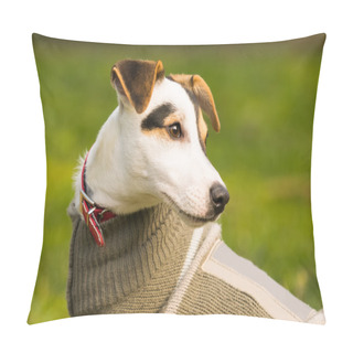 Personality  Jack Russell Dog Portrait. Pillow Covers