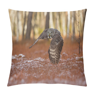 Personality  Great Grey Owl Pillow Covers