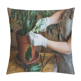 Personality  Houseplants Diseases. Indoor Plants Diseases Disorders Identification And Treatment, Houseplants Sun Burn. Female Hands Cutting Damaged Leaves From Potted Spathiphyllum Sensation Houseplant. Pillow Covers