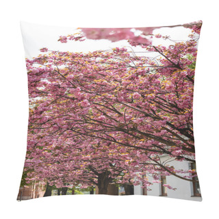 Personality  Blooming And Pink Japanese Cherry Trees In Park Pillow Covers