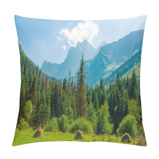 Personality  Mountain Gorge With A Meadow In The Morning On The Green Grass And Flowers Surrounded By Mountain Peaks In Summer Pillow Covers
