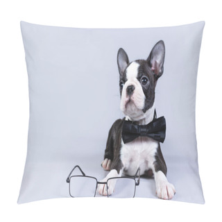 Personality  A Cute Boston Terrier Puppy Sits In A Bow Tie And Looks At His Glasses. Pillow Covers