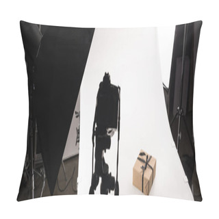 Personality  Christmas Gift For Commercial Photography On Digital Camera On White In Photo Studio, Panoramic Shot Pillow Covers