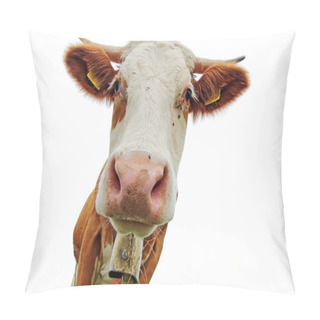 Personality  Head Of A Simmental Cow With Horns And Bell With White Background Pillow Covers