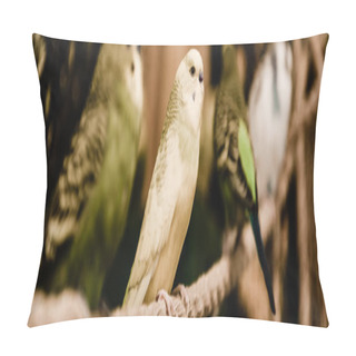 Personality  Panoramic Shot Of Parrots Sitting On Metallic Cage In Zoo Pillow Covers