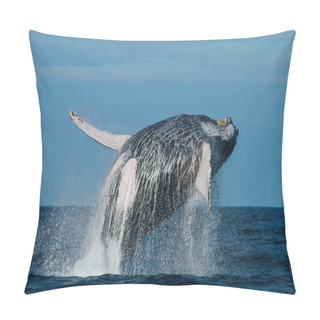 Personality  Whale Jumping In The Air Pillow Covers