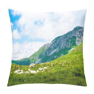 Personality  Landscape Of Mountains And Valley In Durmitor Massif, Montenegro Pillow Covers