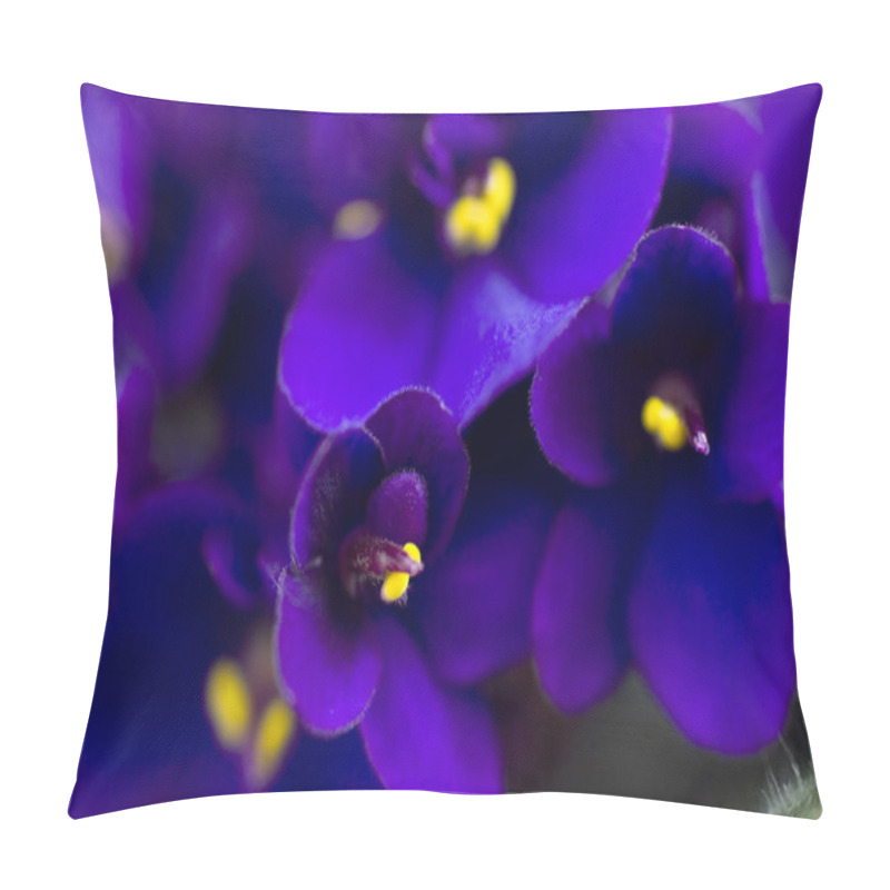 Personality  Dark Purple African Violets Pillow Covers