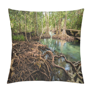 Personality  Mangrove Forest At Tha Pom ,Krabi Thailand Pillow Covers