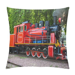 Personality  Steam Locomotive Blowing Off The Smoke Pillow Covers