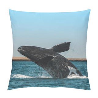 Personality Whale Jumping In Peninsula Valdes, Patagonia, Argentina Pillow Covers
