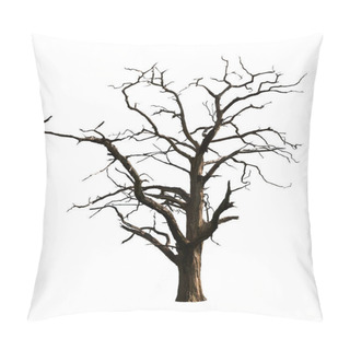 Personality  Dead Tree Isolated On White Pillow Covers