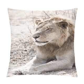 Personality  Wild Lion Pillow Covers