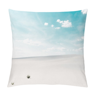 Personality  Beautiful Beach With White Sand With Plants And Blue Sky With White Clouds Pillow Covers