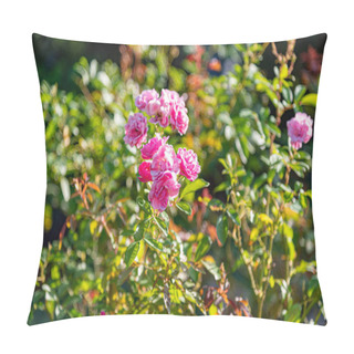 Personality  Rose Flowers. The Rose Is One Of The Most Popular Flowers In The World. Celebrated Over The Centuries, The Rose, Symbol Of Lovers. Fossils Of These Roses Date Back 35 Million Years. Pillow Covers