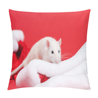 Personality  Selective Focus Of Cute White Rat On  Santa Hats Isolated On Red  Pillow Covers