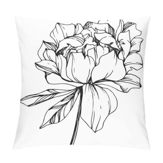 Personality  Vector Isolated Monochrome Peony Flower Sketch On White Background. Engraved Ink Art.  Pillow Covers