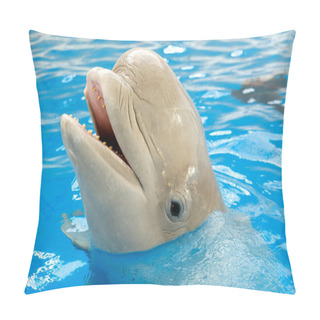 Personality  Beluga, White Whale In Blue Water. Dolphin Assisted Therapy Pillow Covers