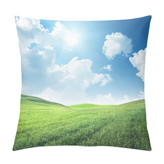 Personality  Field Of Spring Grass Pillow Covers