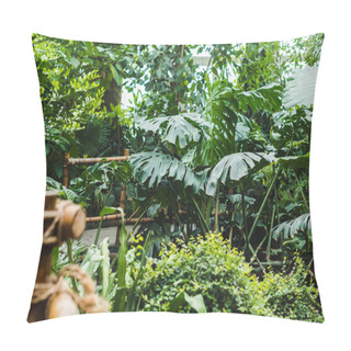 Personality  Tropical Rainforest Greenhouse With Various Plants Pillow Covers