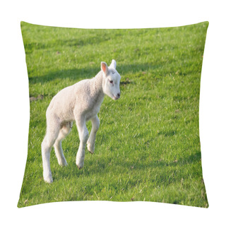 Personality  Gambolling Lamb Pillow Covers