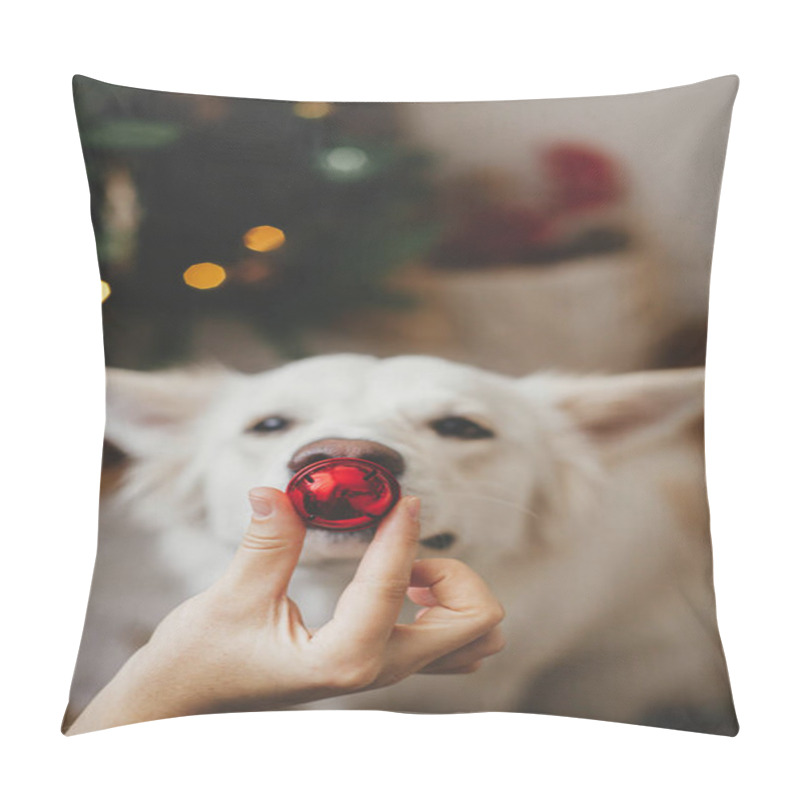 Personality  Merry Christmas and Happy Holidays!Woman hand holding christmas red bauble at cute dog nose. Pet and winter holidays. Adorable white danish spitz dog helping decorate festive room pillow covers