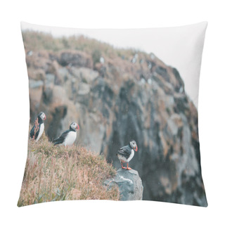 Personality  Puffins Pillow Covers