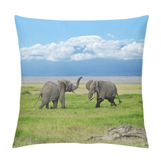 Personality  Amboseli National Park  Pillow Covers