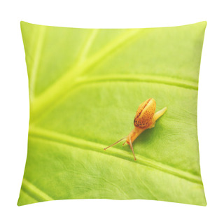 Personality  Green Leaf Natural Background Pillow Covers