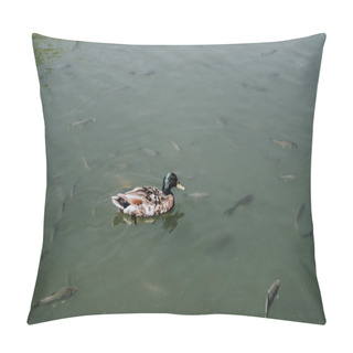 Personality  Elevated View Of Duck And Flock Of Fishes Swimming In Water  Pillow Covers