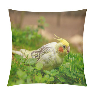Personality  Corella Parrot Close-up. Macro Photography Of A Bird In The Wild. Pillow Covers