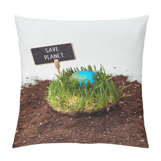Personality  Seedling With Earth Model And Sign Save Planet On Soil Isolated On White, Earth Day Concept Pillow Covers