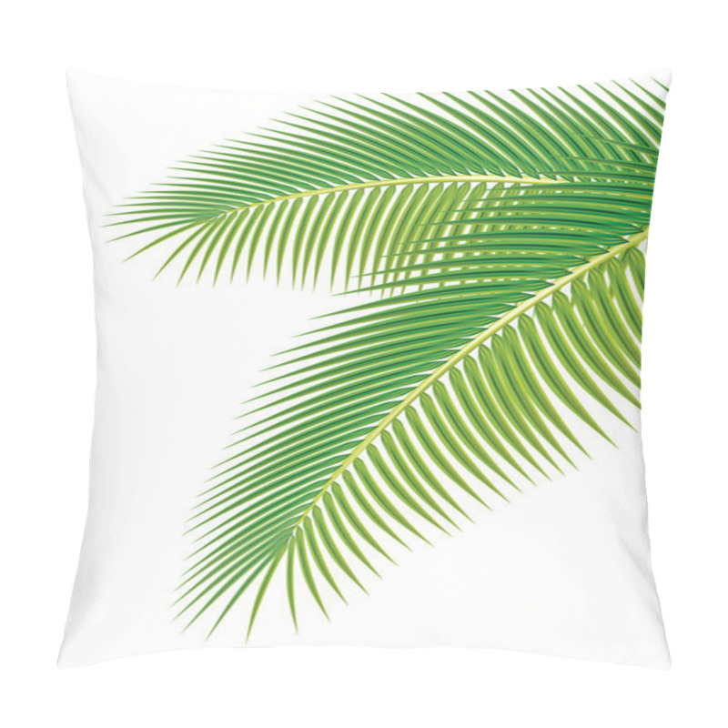 Personality  Leaves of palm tree on white background. Vector illustration. pillow covers