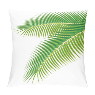 Personality  Leaves Of Palm Tree On White Background. Vector Illustration. Pillow Covers