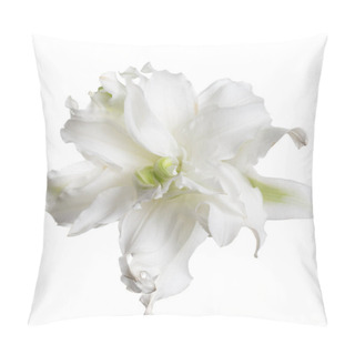 Personality  Terry White Lily Flower Isolated. Pillow Covers