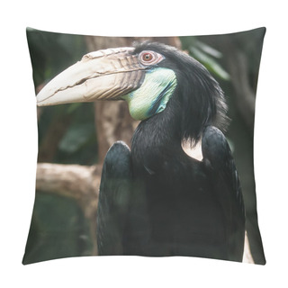 Personality  Hornbill Bird Portrait Closeup Pillow Covers