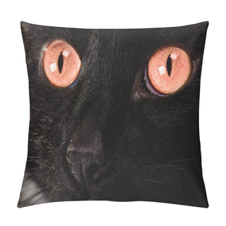 Personality  Beautiful Cat Face Close Up Pillow Covers