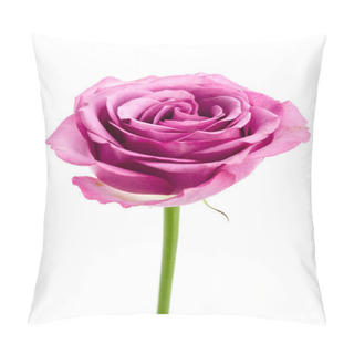Personality  Pink Rose Isolated On White Pillow Covers