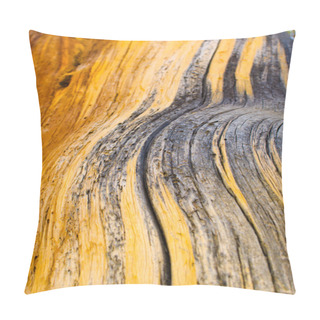 Personality  Striations On A Recently Burned Tree Pillow Covers