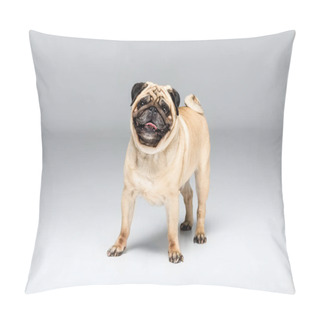 Personality  Cute Pug Dog Pillow Covers