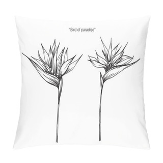 Personality  Bird Of Paradise Flower. Drawing And Sketch With Black And White Line-art. Pillow Covers