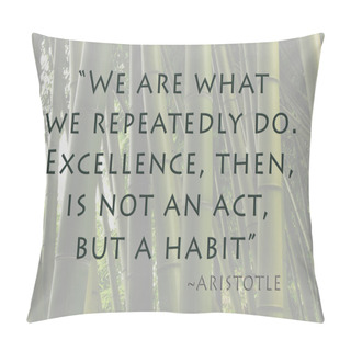Personality  Excellence Is Habit Pillow Covers