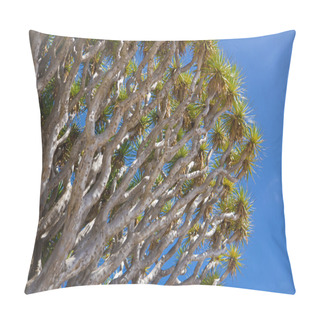 Personality  Dragon Tree Branches Pillow Covers