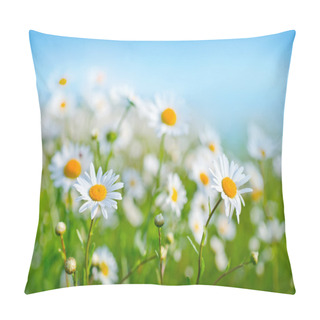 Personality  Camomille Field Pillow Covers