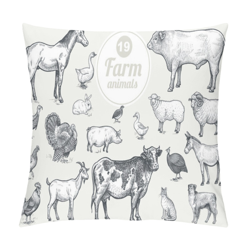 Personality  Farm Livestock And Poultry Set. Pillow Covers