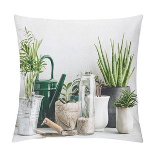 Personality  Collection Of Various Cactus And Succulent Plants In Different P Pillow Covers