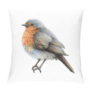 Personality  Vintage Style Robin Bird Illustration. Hand Drawn Wildlife Songbird. Beautiful Retro Style Realistic Robin Image Element. Forest And Garden Wildlife Avian. White Background. Pillow Covers