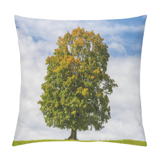 Personality  Singel Beautiful Maple Tree In Meadow Pillow Covers